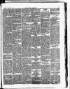 Croydon Chronicle and East Surrey Advertiser Saturday 20 January 1877 Page 5