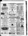 Croydon Chronicle and East Surrey Advertiser Saturday 27 January 1877 Page 3