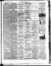 Croydon Chronicle and East Surrey Advertiser Saturday 03 February 1877 Page 3