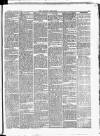 Croydon Chronicle and East Surrey Advertiser Saturday 10 February 1877 Page 3