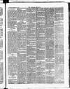 Croydon Chronicle and East Surrey Advertiser Saturday 17 February 1877 Page 3