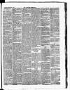 Croydon Chronicle and East Surrey Advertiser Saturday 24 February 1877 Page 3