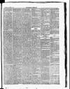 Croydon Chronicle and East Surrey Advertiser Saturday 03 March 1877 Page 3