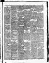 Croydon Chronicle and East Surrey Advertiser Saturday 10 March 1877 Page 3