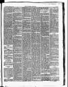 Croydon Chronicle and East Surrey Advertiser Saturday 10 March 1877 Page 5