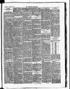 Croydon Chronicle and East Surrey Advertiser Saturday 17 March 1877 Page 3