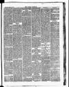 Croydon Chronicle and East Surrey Advertiser Saturday 17 March 1877 Page 5