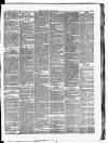 Croydon Chronicle and East Surrey Advertiser Saturday 24 March 1877 Page 3