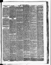 Croydon Chronicle and East Surrey Advertiser Saturday 14 April 1877 Page 3