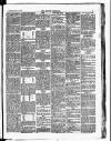 Croydon Chronicle and East Surrey Advertiser Saturday 14 April 1877 Page 5