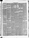 Croydon Chronicle and East Surrey Advertiser Saturday 28 April 1877 Page 3