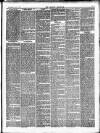 Croydon Chronicle and East Surrey Advertiser Saturday 12 May 1877 Page 3