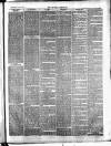 Croydon Chronicle and East Surrey Advertiser Saturday 19 May 1877 Page 3