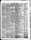 Croydon Chronicle and East Surrey Advertiser Saturday 26 May 1877 Page 3