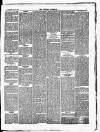 Croydon Chronicle and East Surrey Advertiser Saturday 26 May 1877 Page 5