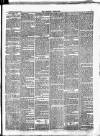 Croydon Chronicle and East Surrey Advertiser Saturday 16 June 1877 Page 3