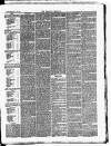 Croydon Chronicle and East Surrey Advertiser Saturday 21 July 1877 Page 3