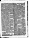 Croydon Chronicle and East Surrey Advertiser Saturday 28 July 1877 Page 3