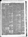 Croydon Chronicle and East Surrey Advertiser Saturday 04 August 1877 Page 3