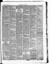 Croydon Chronicle and East Surrey Advertiser Saturday 04 August 1877 Page 5