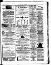 Croydon Chronicle and East Surrey Advertiser Saturday 04 August 1877 Page 7