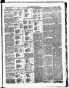 Croydon Chronicle and East Surrey Advertiser Saturday 11 August 1877 Page 3