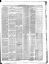 Croydon Chronicle and East Surrey Advertiser Saturday 10 November 1877 Page 3
