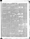 Croydon Chronicle and East Surrey Advertiser Saturday 10 November 1877 Page 5