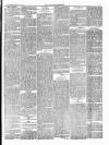 Croydon Chronicle and East Surrey Advertiser Saturday 12 January 1878 Page 5