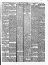 Croydon Chronicle and East Surrey Advertiser Saturday 21 December 1878 Page 3