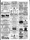 Croydon Chronicle and East Surrey Advertiser Saturday 22 February 1879 Page 7