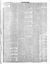 Croydon Chronicle and East Surrey Advertiser Saturday 22 November 1879 Page 3