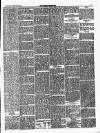 Croydon Chronicle and East Surrey Advertiser Saturday 17 January 1880 Page 5