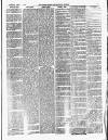 Croydon Chronicle and East Surrey Advertiser Saturday 31 January 1880 Page 3