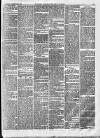 Croydon Chronicle and East Surrey Advertiser Saturday 25 December 1880 Page 3