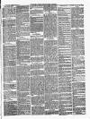 Croydon Chronicle and East Surrey Advertiser Saturday 22 January 1881 Page 3