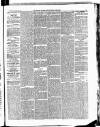 Croydon Chronicle and East Surrey Advertiser Saturday 21 April 1883 Page 5