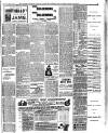 Croydon Chronicle and East Surrey Advertiser Saturday 24 February 1894 Page 7