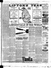 Croydon Chronicle and East Surrey Advertiser Saturday 21 September 1895 Page 7