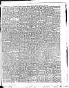 Croydon Chronicle and East Surrey Advertiser Saturday 02 November 1895 Page 5