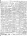 Croydon Chronicle and East Surrey Advertiser Saturday 11 August 1900 Page 7