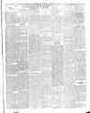 Croydon Chronicle and East Surrey Advertiser Saturday 25 January 1908 Page 5