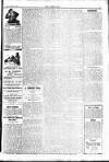 Croydon Chronicle and East Surrey Advertiser Thursday 22 April 1909 Page 5