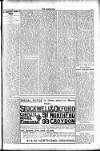 Croydon Chronicle and East Surrey Advertiser Thursday 27 May 1909 Page 11