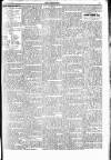 Croydon Chronicle and East Surrey Advertiser Saturday 03 July 1909 Page 11