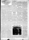 Croydon Chronicle and East Surrey Advertiser Saturday 21 May 1910 Page 7