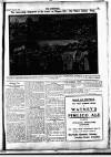 Croydon Chronicle and East Surrey Advertiser Saturday 16 July 1910 Page 23