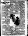 Croydon Chronicle and East Surrey Advertiser Saturday 18 February 1911 Page 19