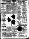Croydon Chronicle and East Surrey Advertiser Saturday 18 March 1911 Page 17