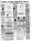 Todmorden Advertiser and Hebden Bridge Newsletter Saturday 17 June 1871 Page 1